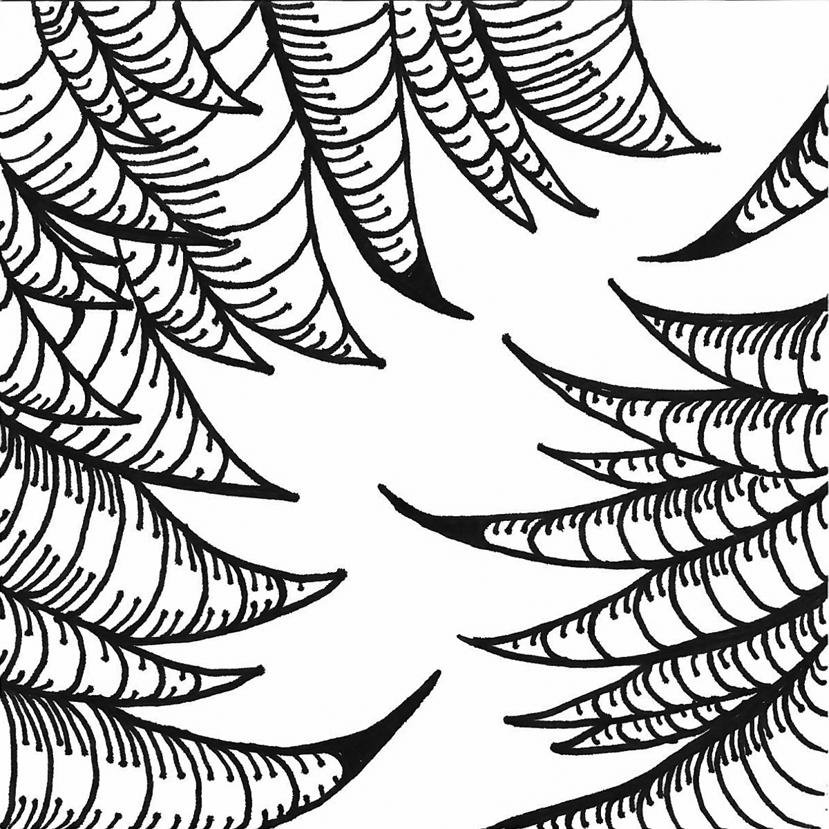 Black and White Scribble Design